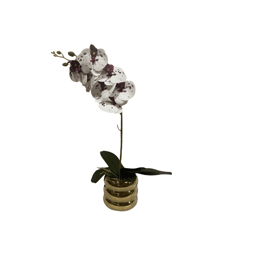 Pot Fleur Dorée Curvee Avec Orchidee Blanche Papillion  H :42.5 Cm