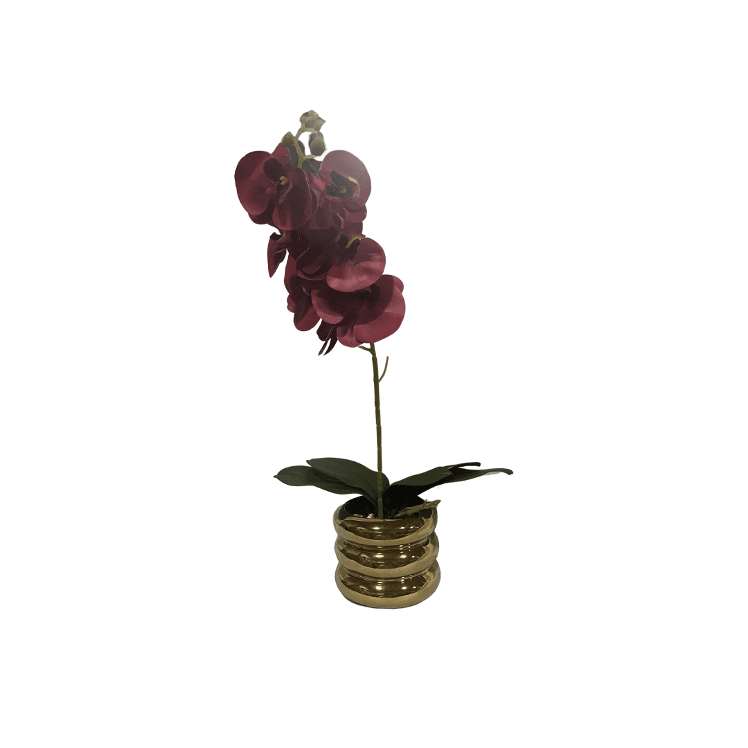 Pot De Fleur Doree Curvee  Avec Orchidee Rouge   H :42.5 Cm