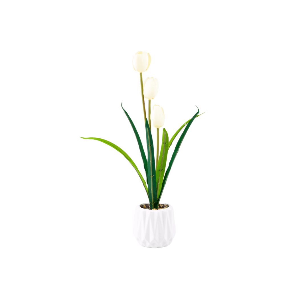 Pot De Fleur Blan Avec   3 Tulipe Branches  H:30*8cm