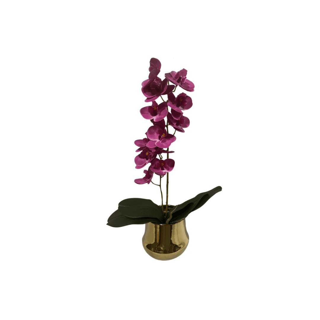 Pot Fleur Doree Avec 2 Branches Vanda H:30*8cm