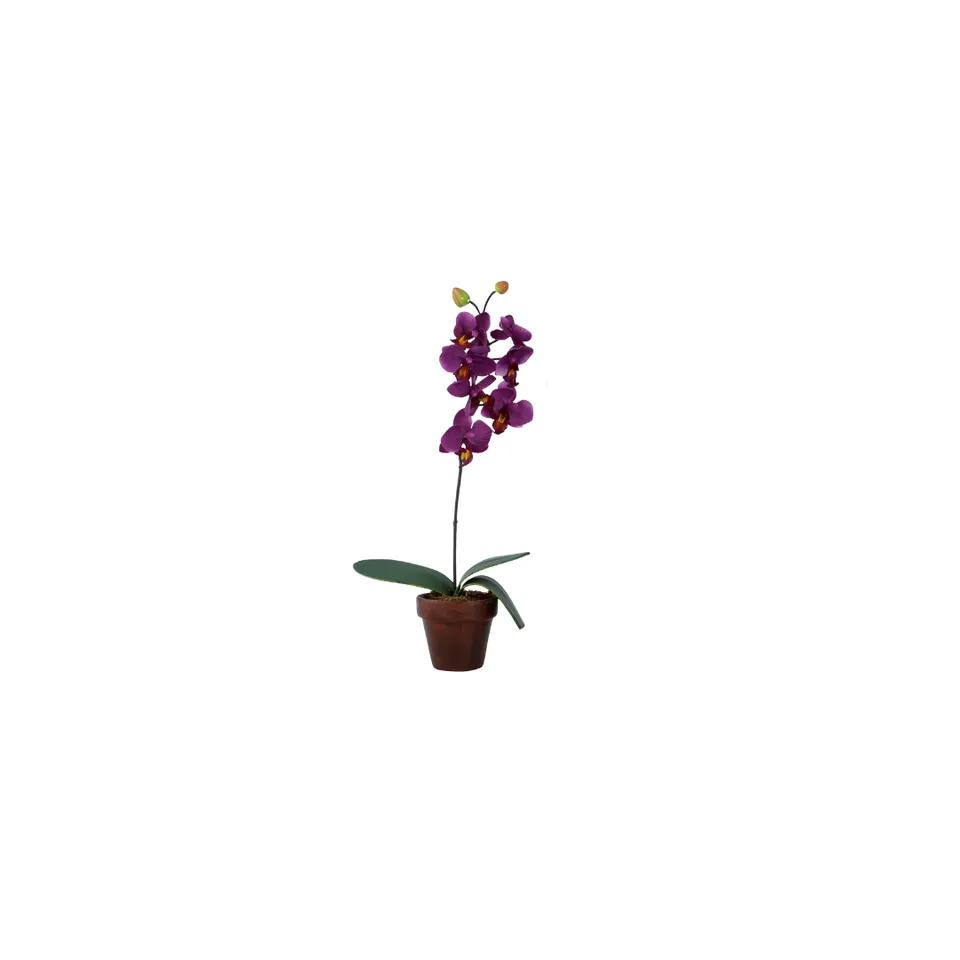 Fleurs Orchidée En Pots Gm  Blanche Mauve Rose H40.0cm Ref 121821