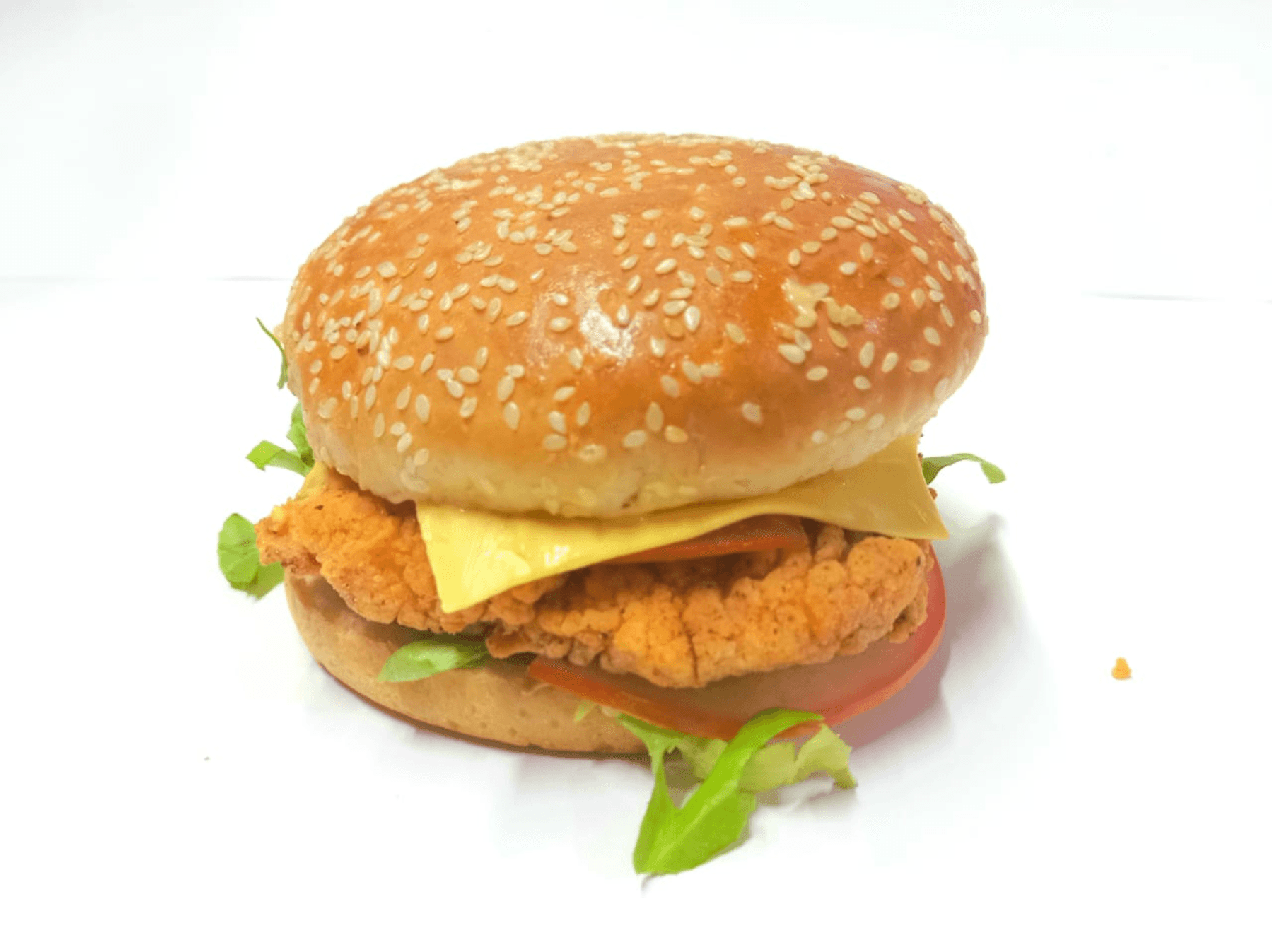 Chicken Burger + Frites