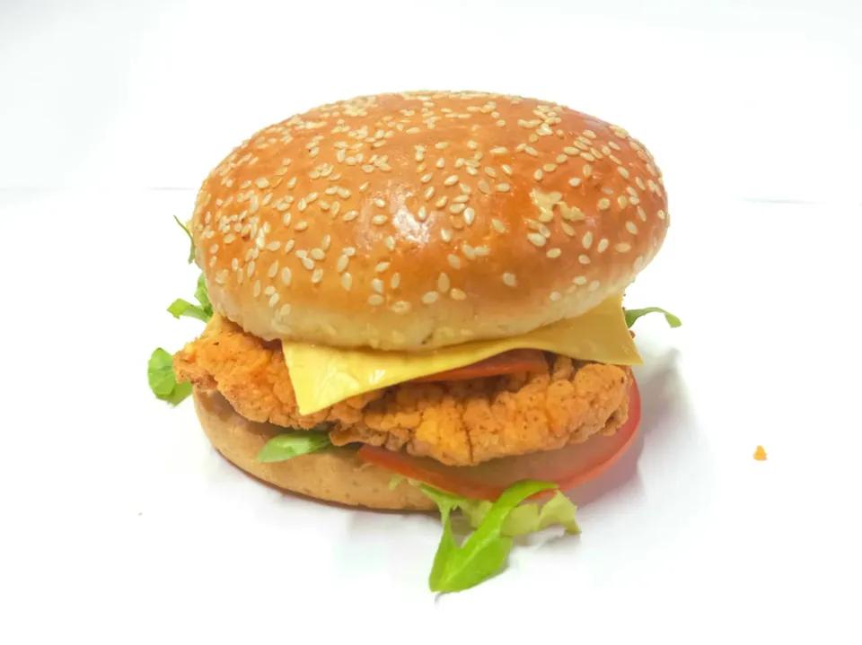 Chicken Burger + Frites