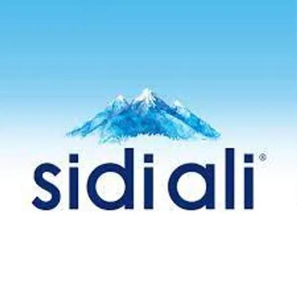 Sidi Ali 50cl