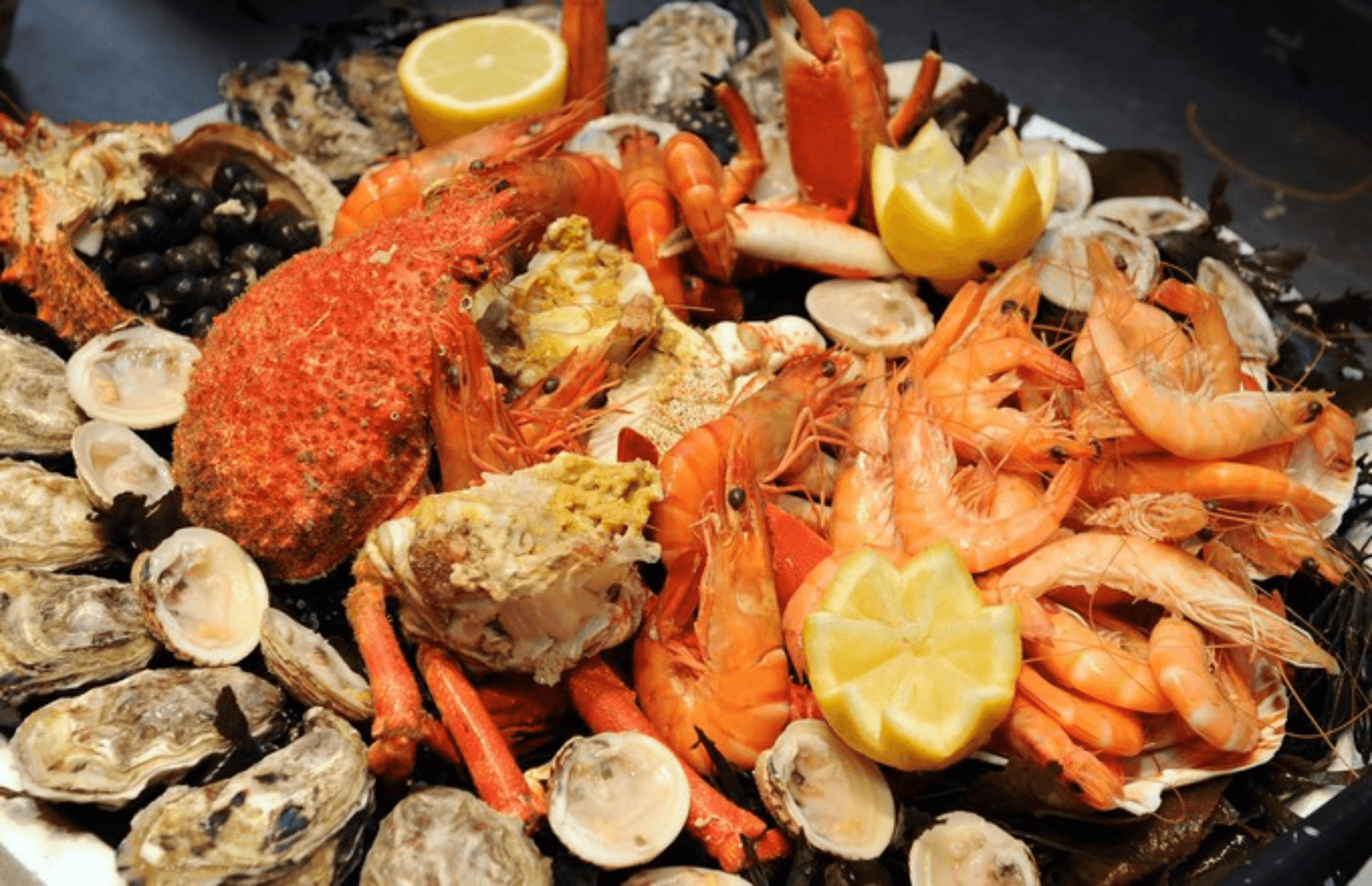 Coucha au Fruit de Mer
