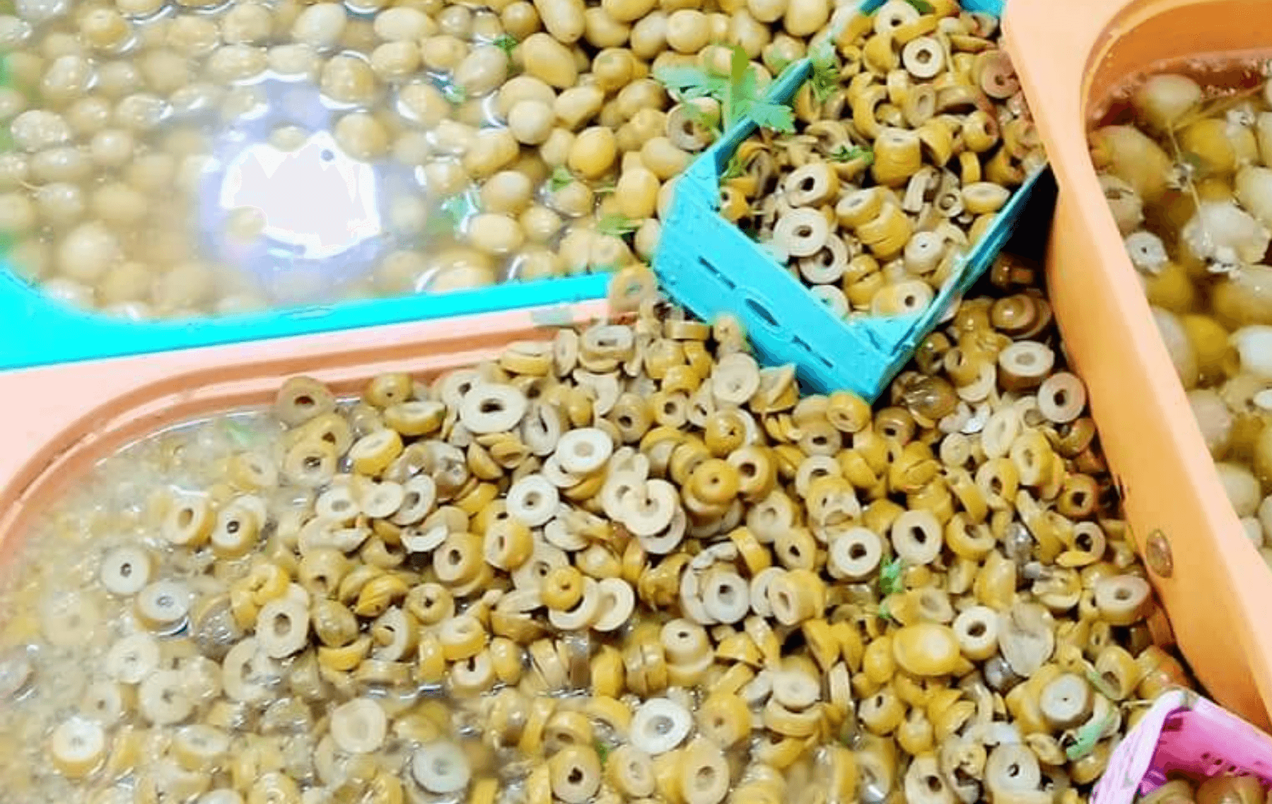 زيتون كاسي / Olives Cassées