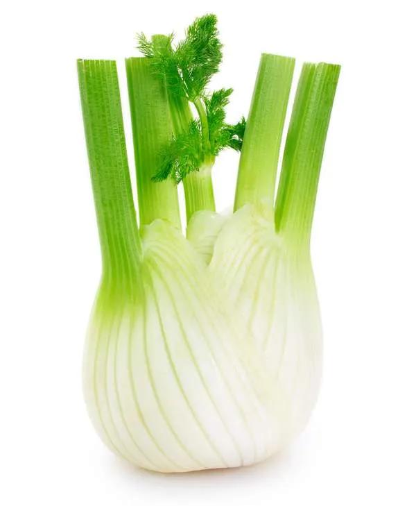 Fenouil