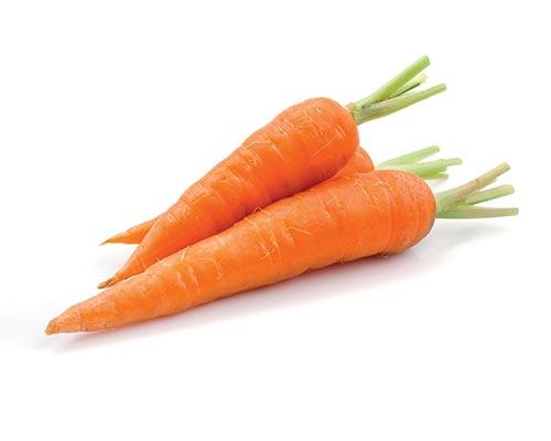 Carotte