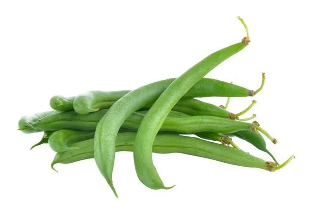 Haricots