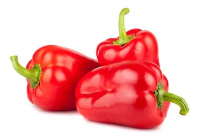 Poivron Rouge