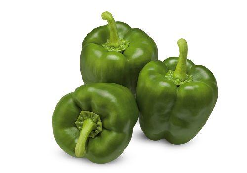 Poivron Vert
