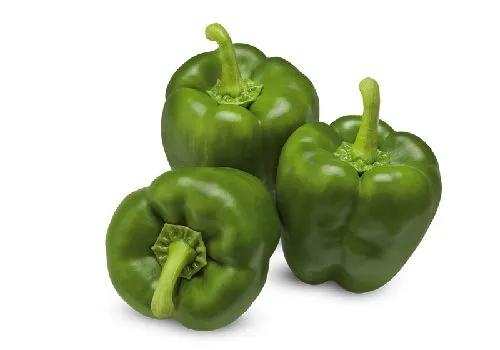 Poivron Vert