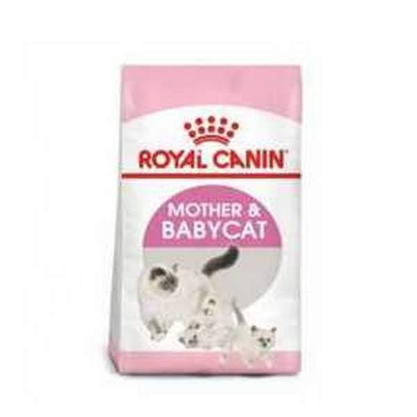 ROYAL CANIN - MOTHER & BABYCAT 4Kg (47629)