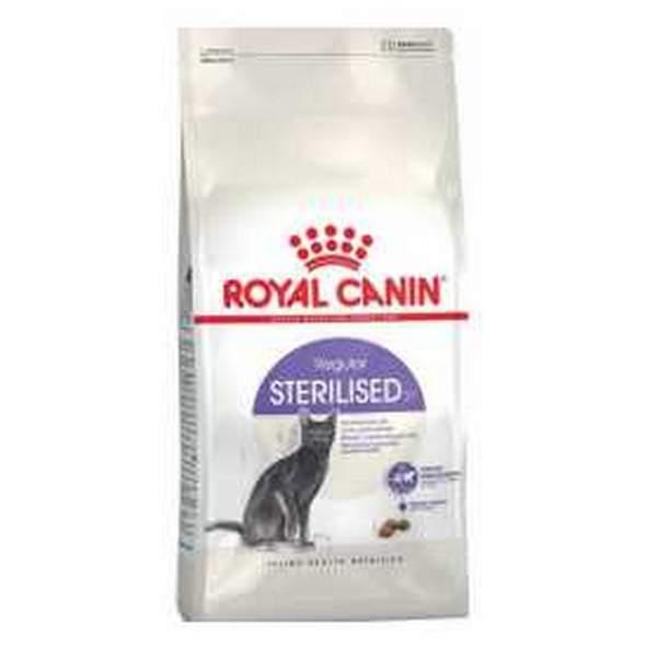 Royal Canin Chat Regular Sterilised 37 4 Kg (37616)