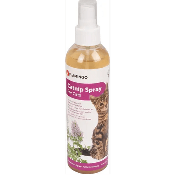 FLAMINGO PREMIUM CARE DEREK ORANGE (12026)