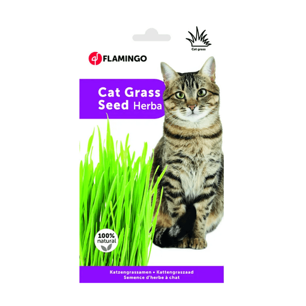 FLAMINGO SNACKS FRIANDISES- HERBE A CHAT (08210)