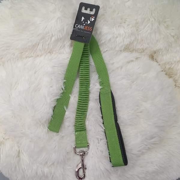 Laisse nylon élastique vert pistage (08174)