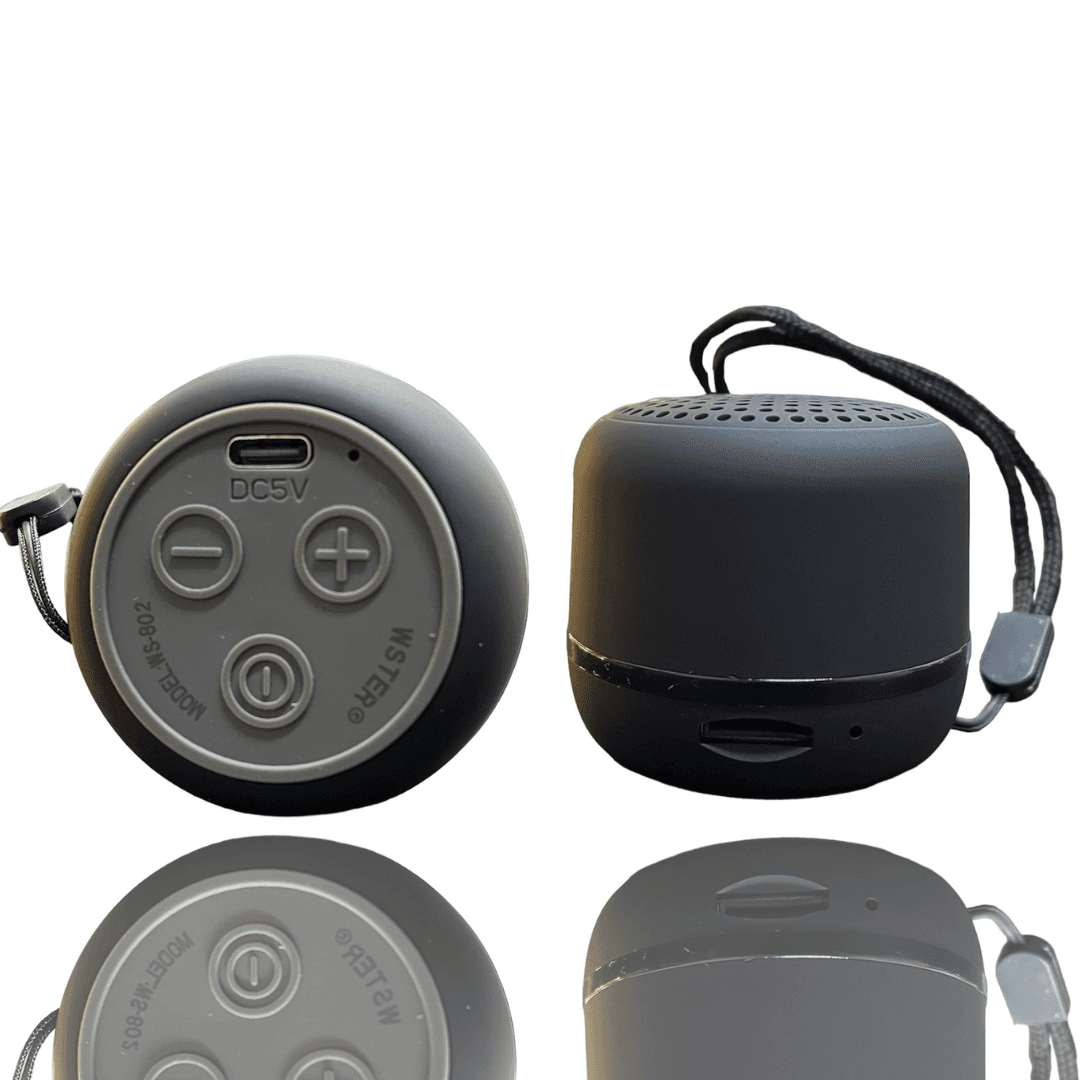 WSTER SPEAKER WS-802
