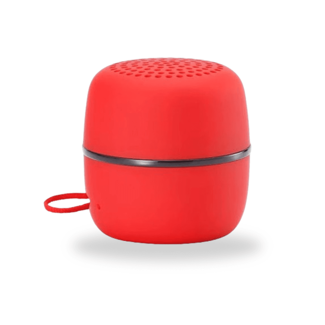 Speaker WSTER WS-801