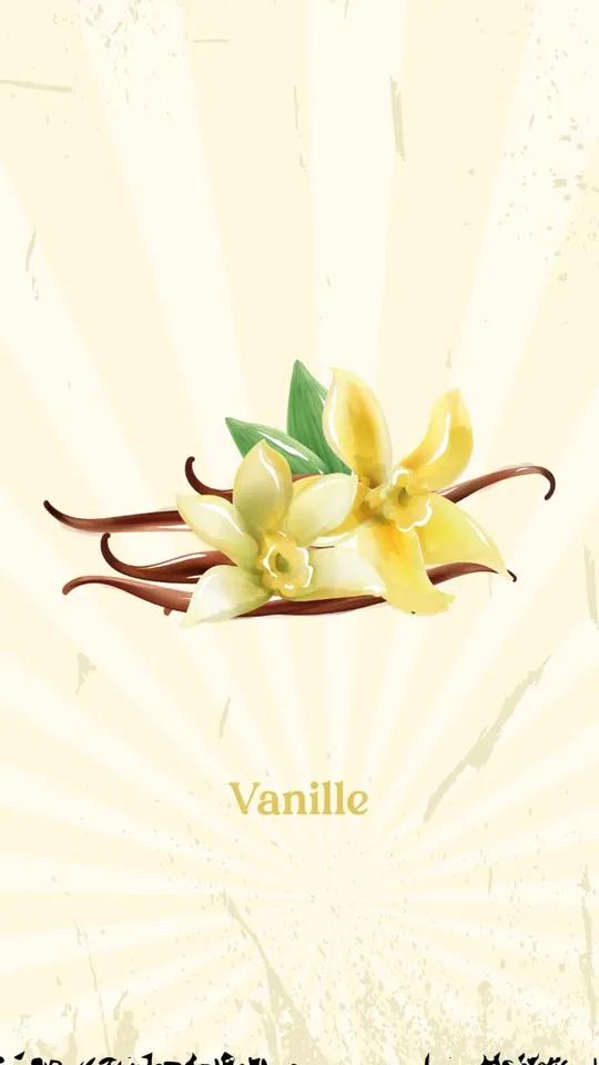 Vanille De Madagascar