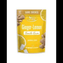 DENTI SMILE GUM GINGER CITRON BOITE DE 32