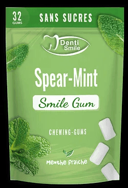DENTI SMILE GUM MENTHE SANS SUCRE BOITE DE 32