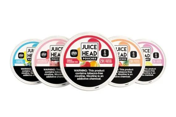 JUICE HEAD SNUS 6MG BLUEBERRY LEMON MINT