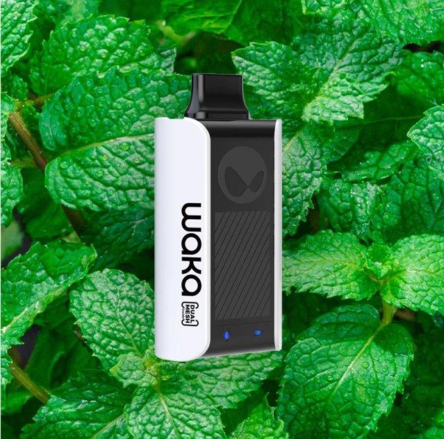 WAKA FRESH MINT 10000 PUFFS 5%