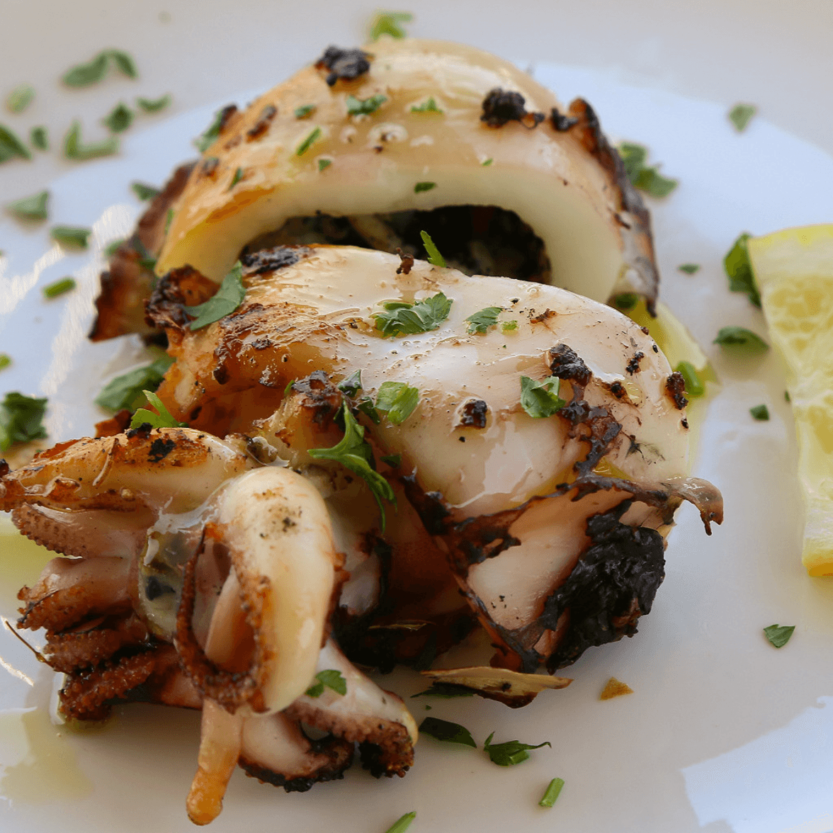 Duo Seiche et Calamars