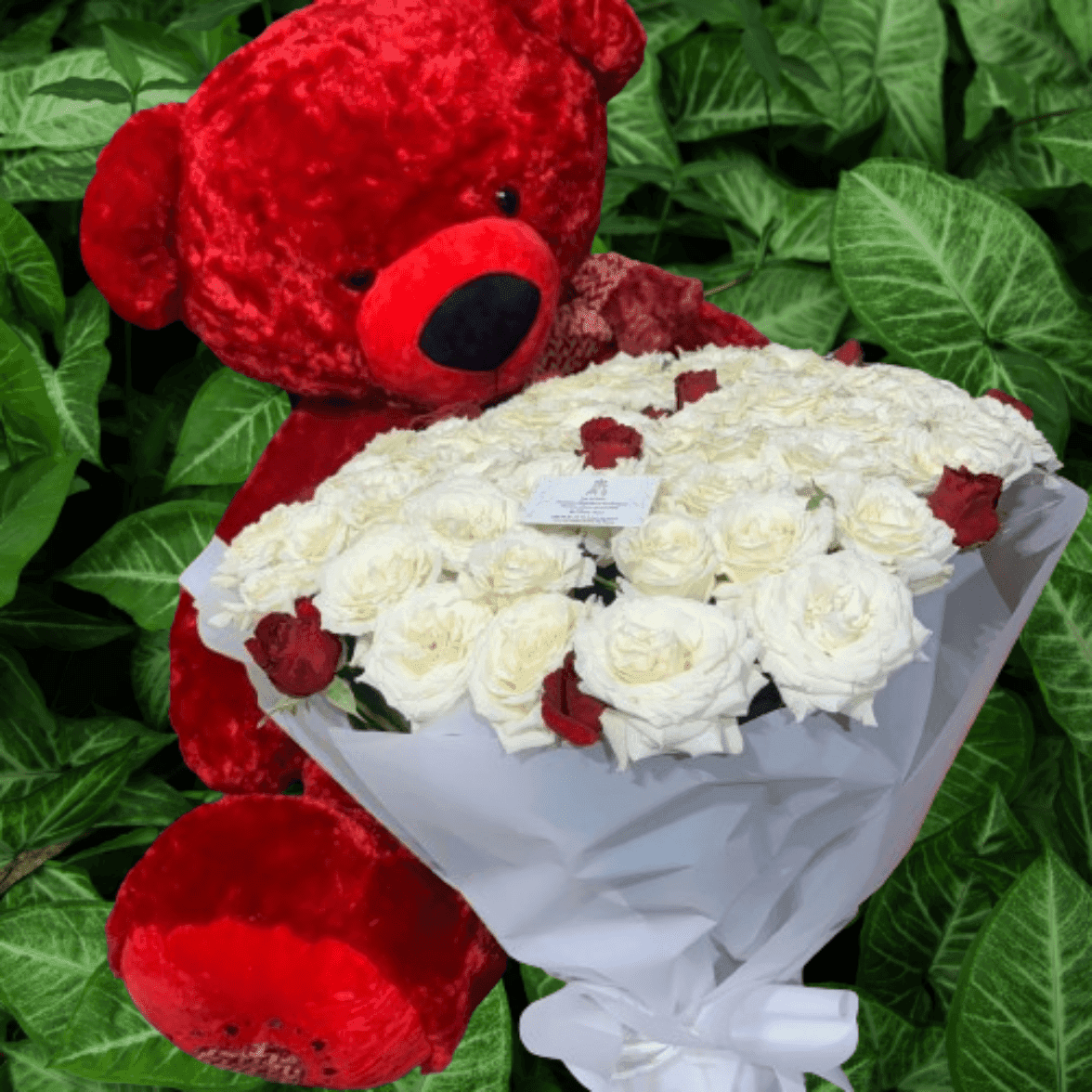 Bouquet Geant 100 Fleurs Avec Grand Nounours