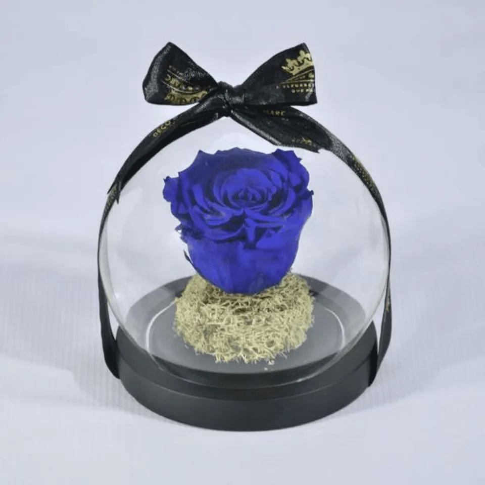 Eternelle Bleu roi