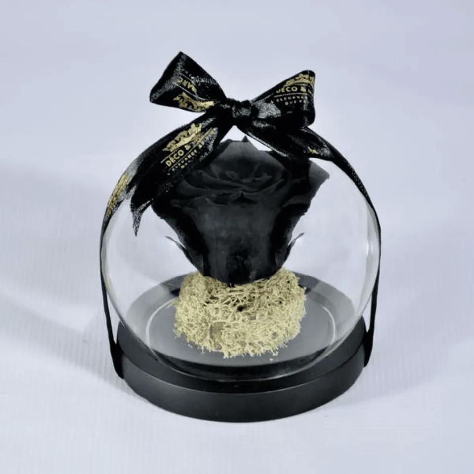 Eternelle Noir