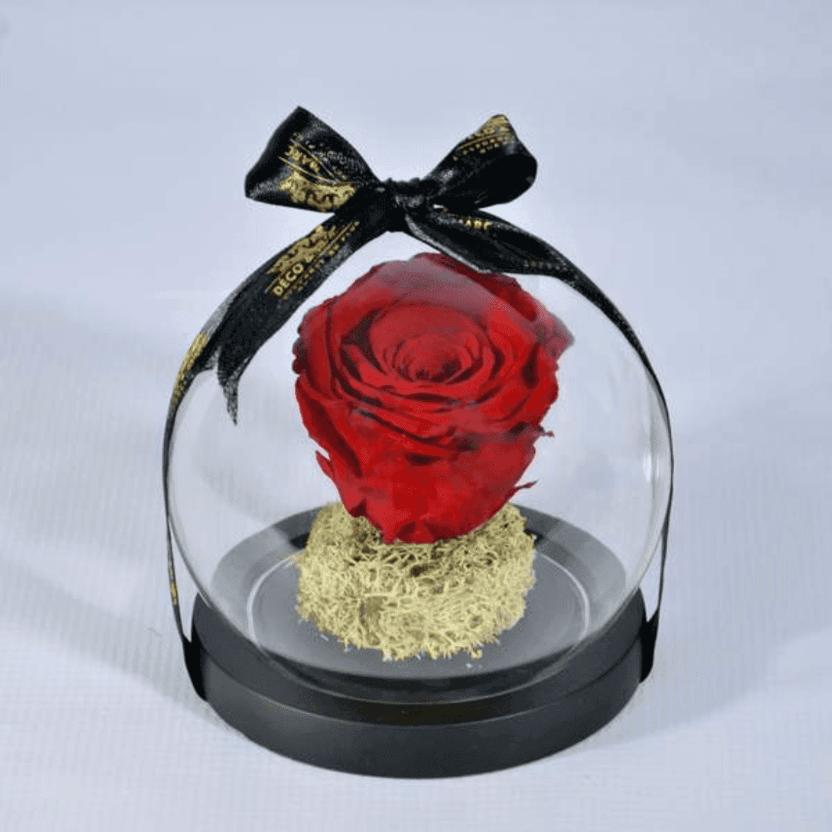 Eternelle Noir rouge