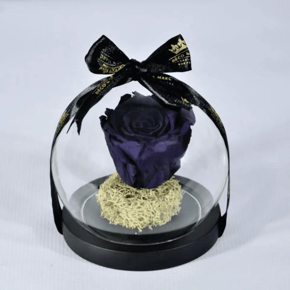 Eternelle Violet