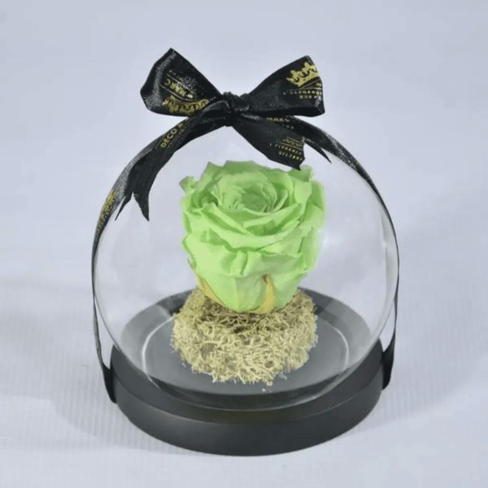 Eternelle vert eau
