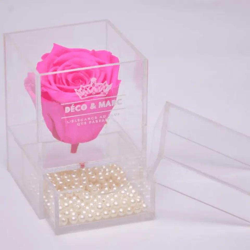 Beauty Pink