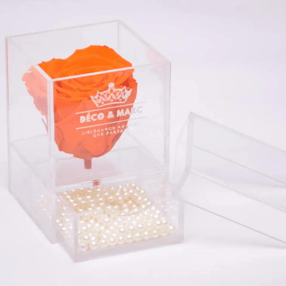 Beauty Orange