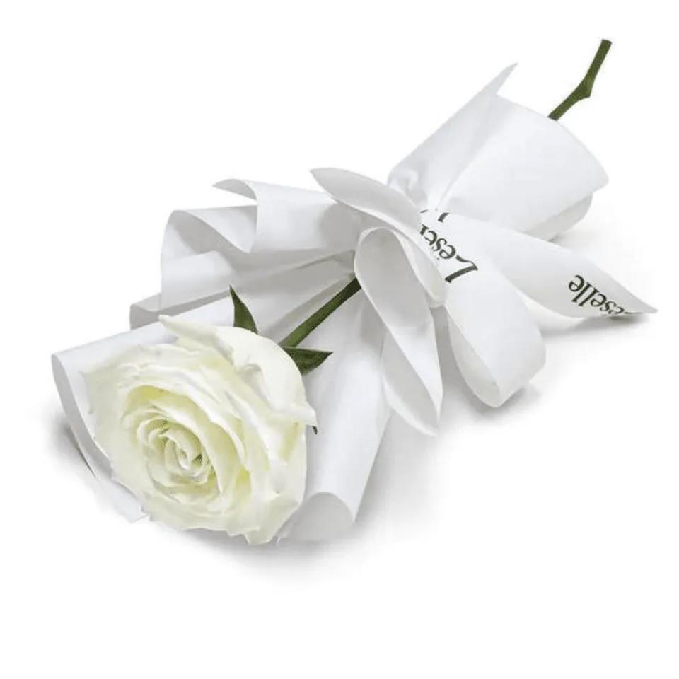Fleur blanc individuelle avec carte