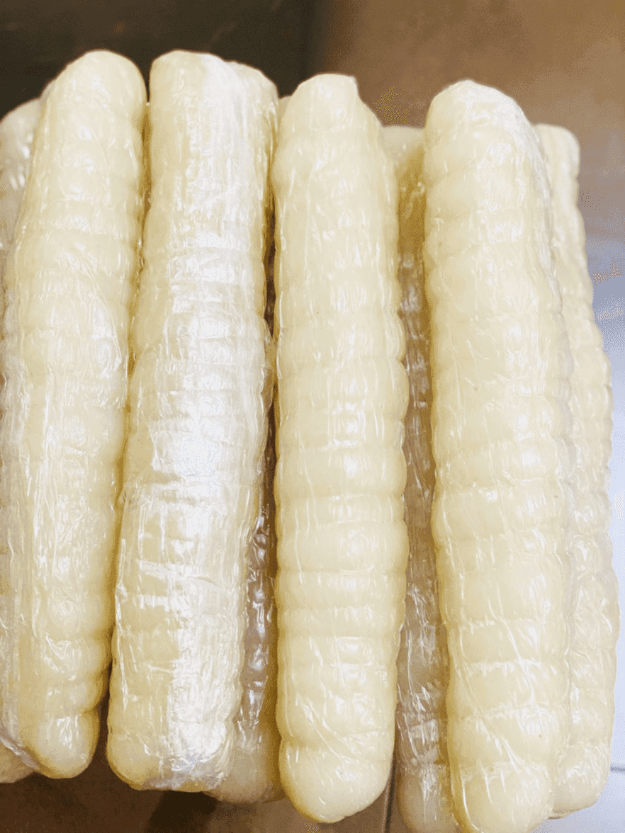 Bâton de Manioc