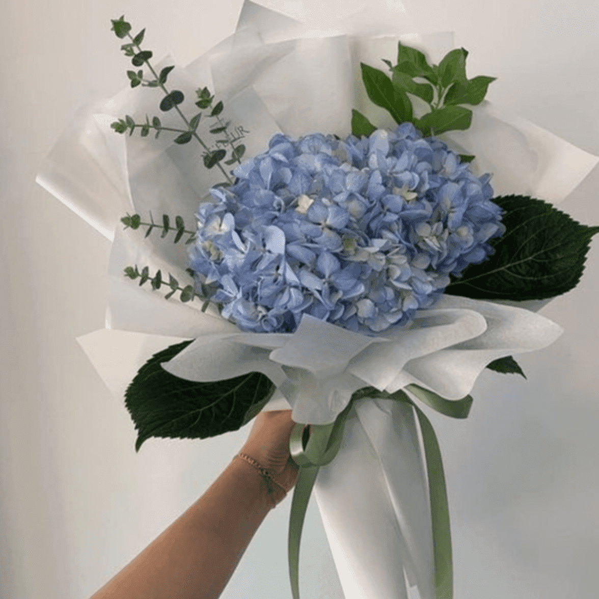 Hortensia bleu