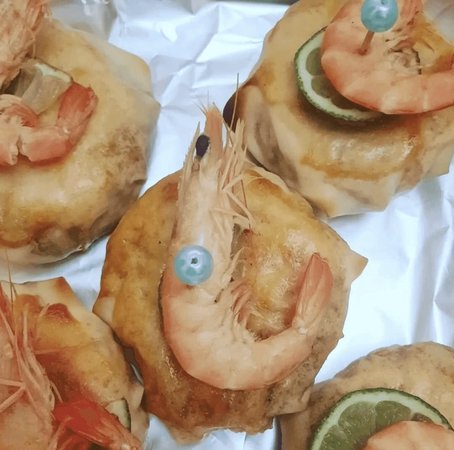 Pastillas Individuelles au Poisson/Crustacés