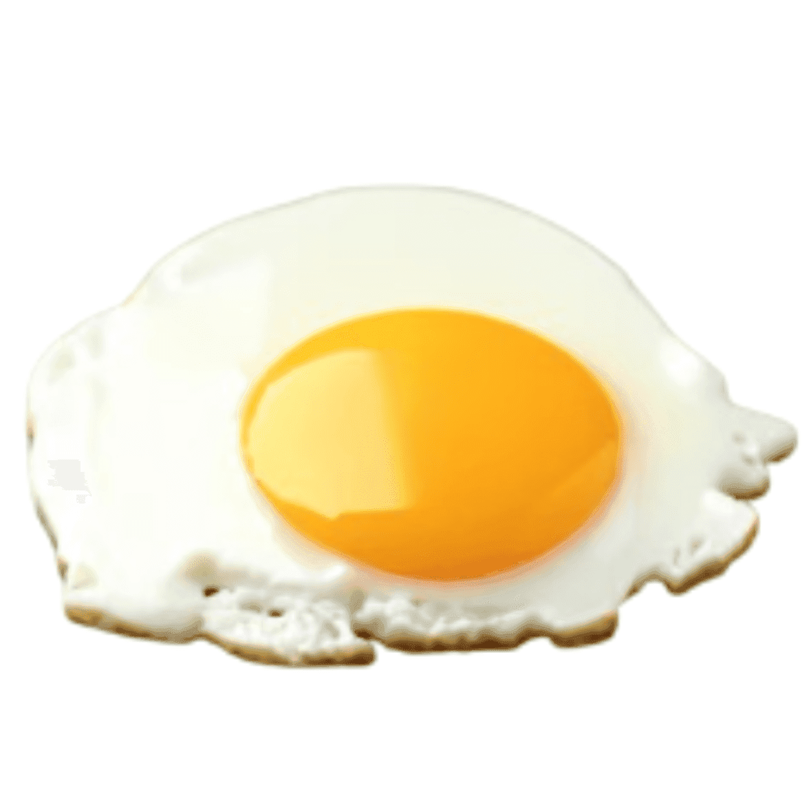 Assiette du Gladiateur