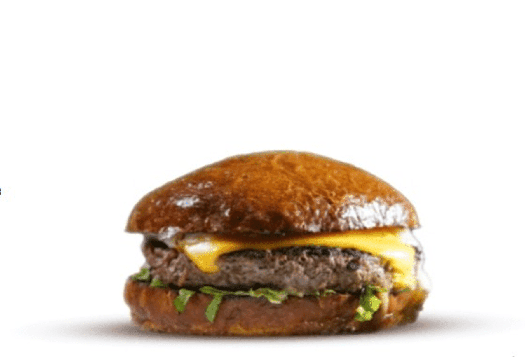 Double Cheese Burger