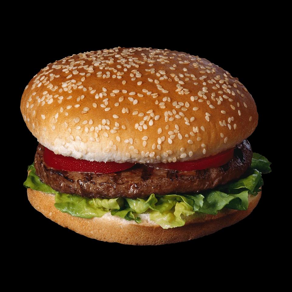 Burger Steak