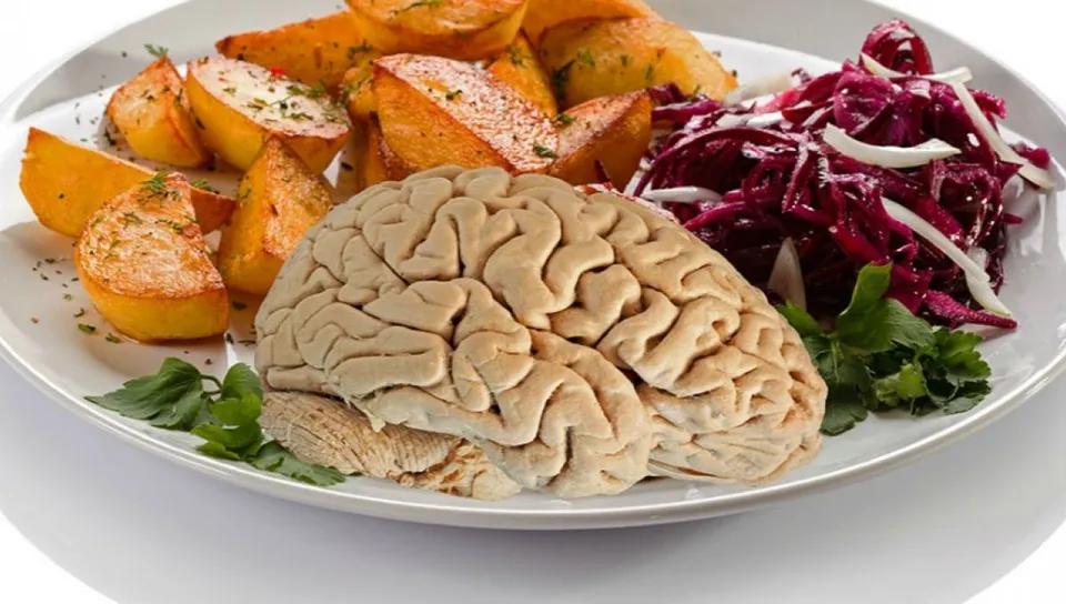 Plat Cerveau