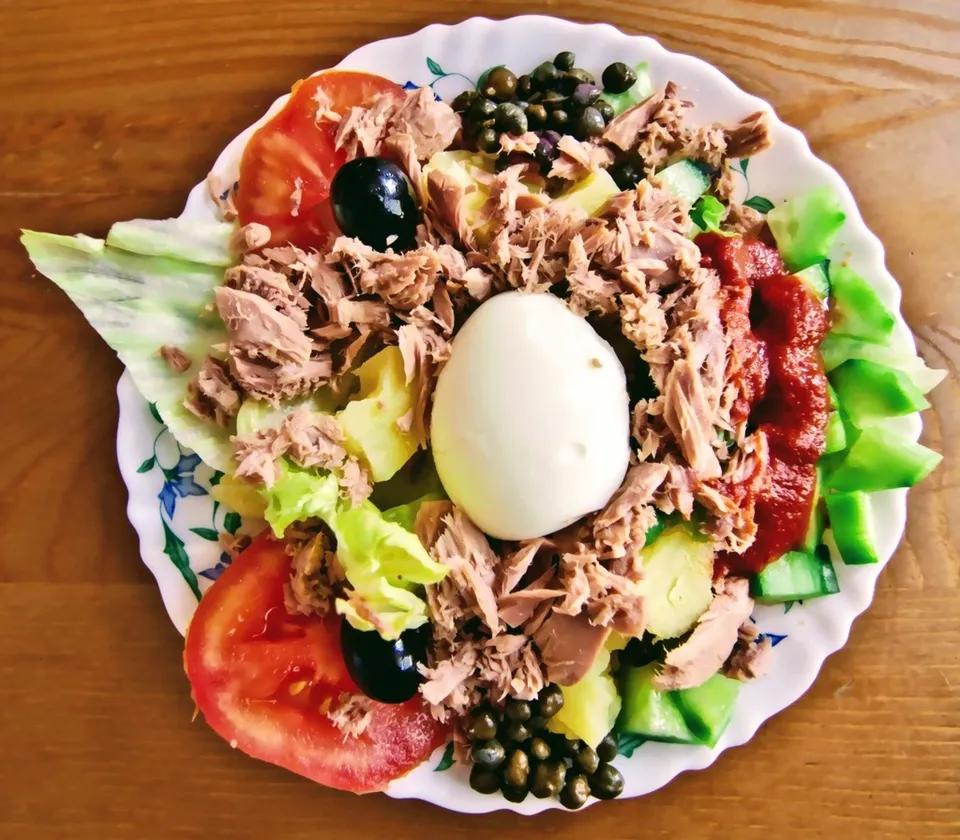 Plat Tounsi