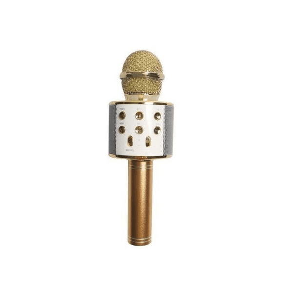 Wster Magique Microphone et haut parleur karaoké bleutooth sans fil-SD +USB