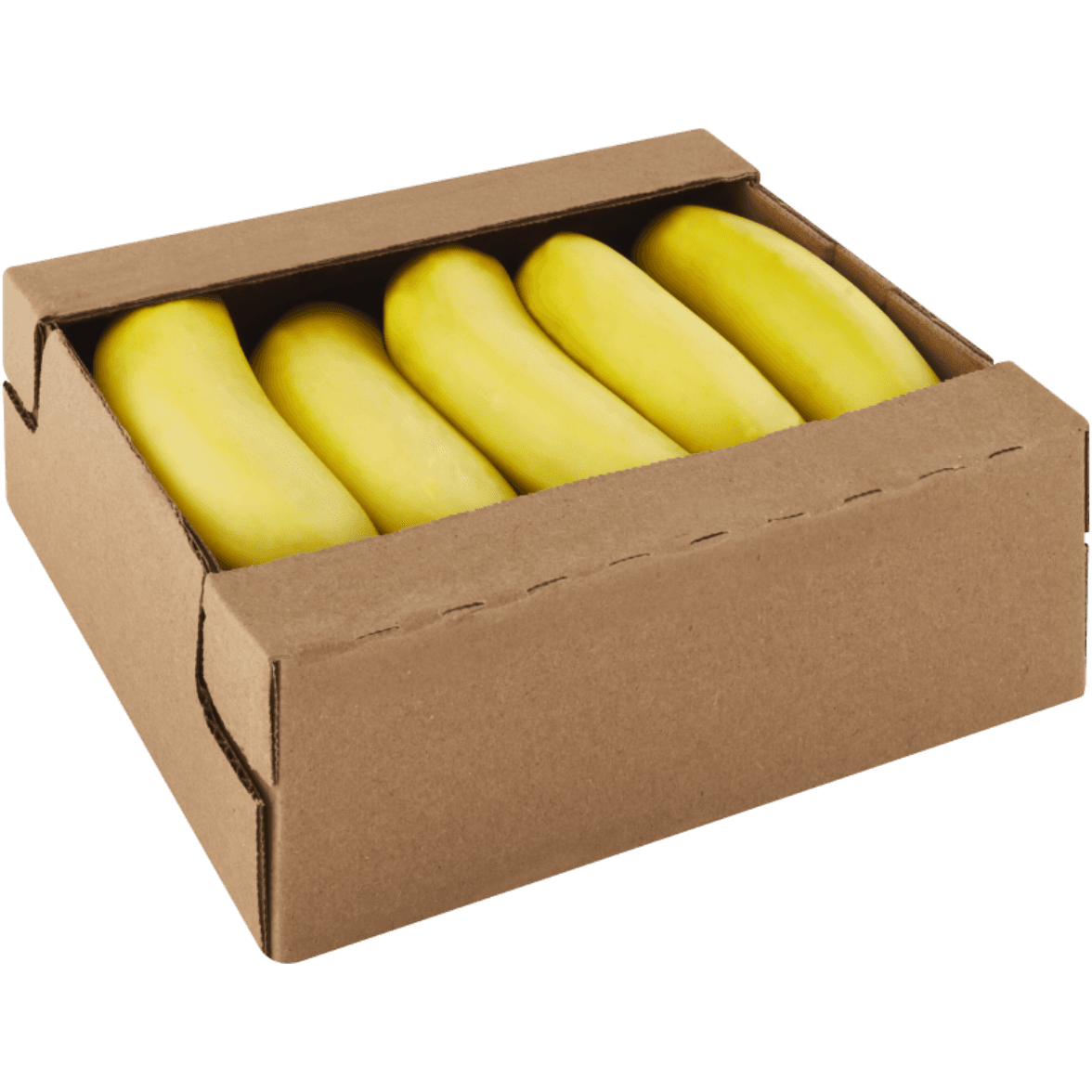 Lovers Plus Ribbed & Stubbed Condoms 3 Pack