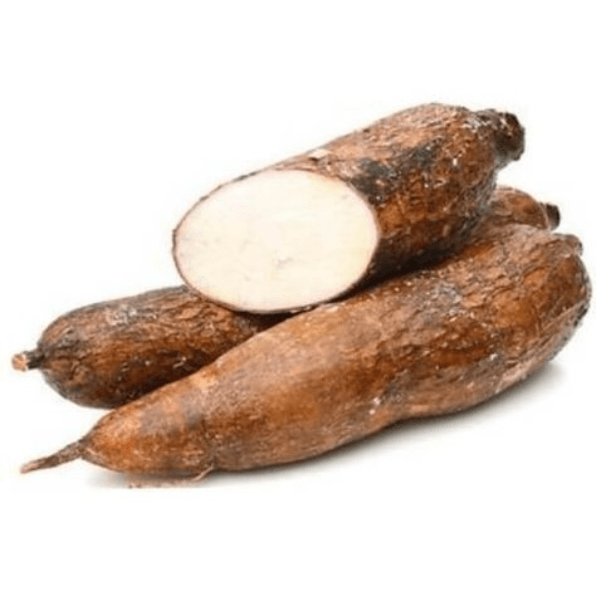 Manioc