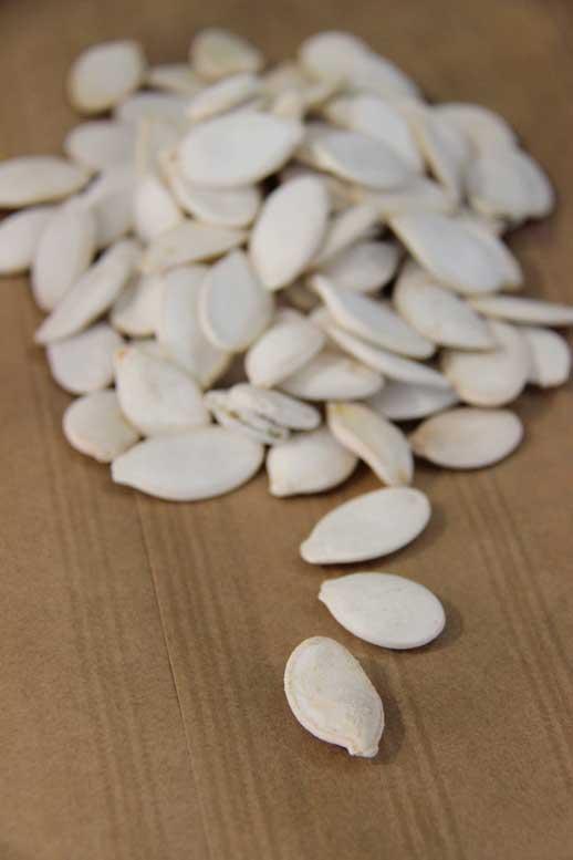 Graine de Citrouille Salées 100g